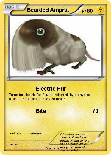 Pokemon Bearded Amprat