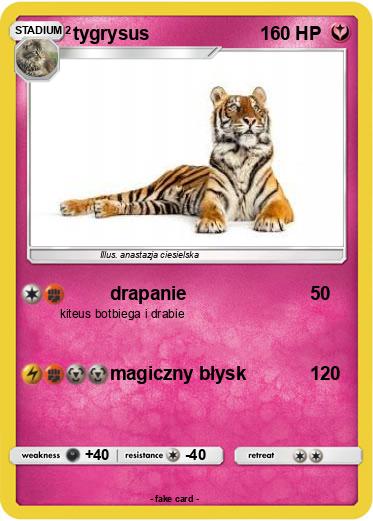 Pokemon tygrysus