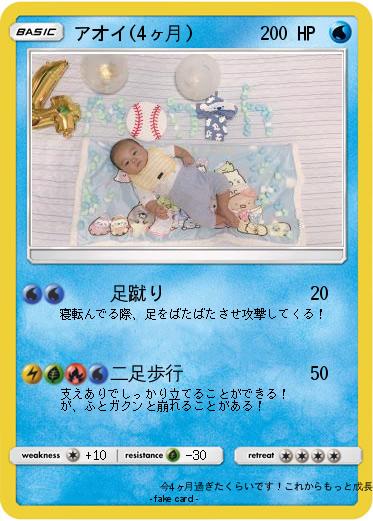 Pokemon アオイ(4ヶ月)