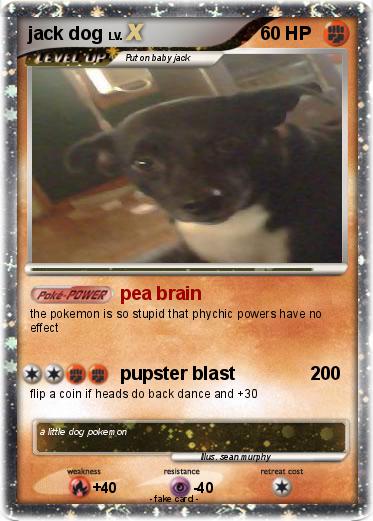 Pokemon jack dog