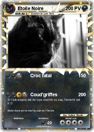 Pokemon Etoile Noire