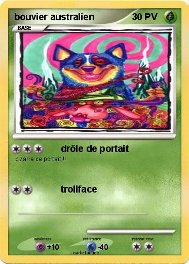 Pokemon bouvier australien