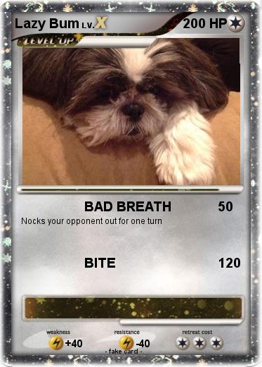 Pokemon Lazy Bum