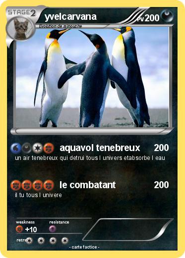 Pokemon yvelcarvana
