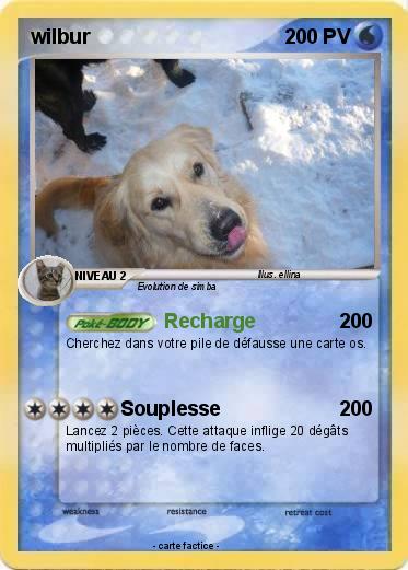 Pokemon wilbur