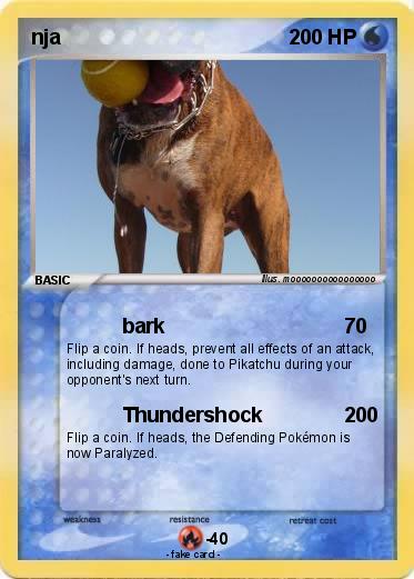 Pokemon nja