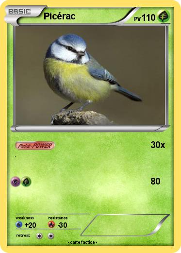 Pokemon Picérac