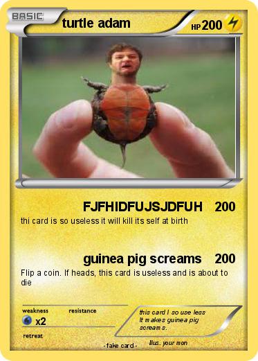Pokemon turtle adam