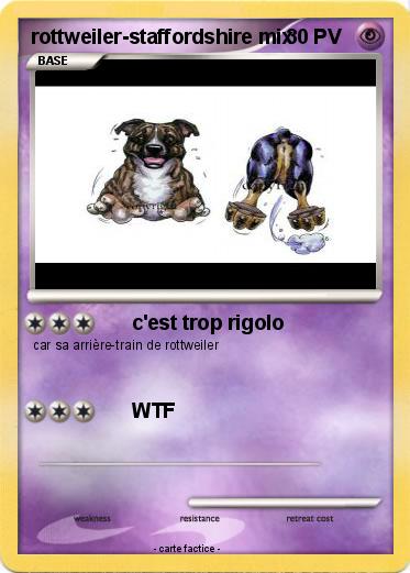 Pokemon rottweiler-staffordshire mix