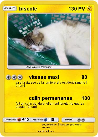 Pokemon biscote