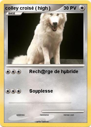 Pokemon colley croisé ( high )