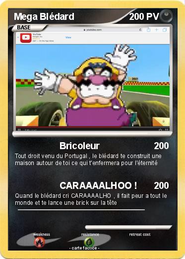 Pokemon Mega Blédard