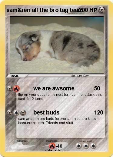 Pokemon sam&ren all the bro tag team