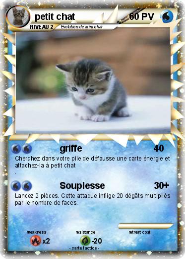 Pokemon petit chat