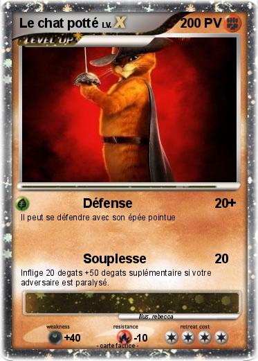 Pokemon Le chat potté