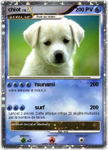 Pokemon chiot