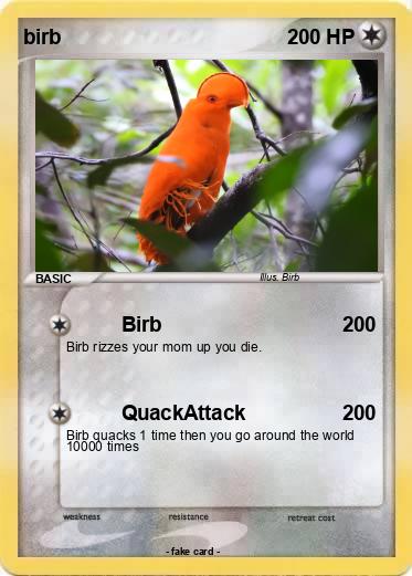 Pokemon birb
