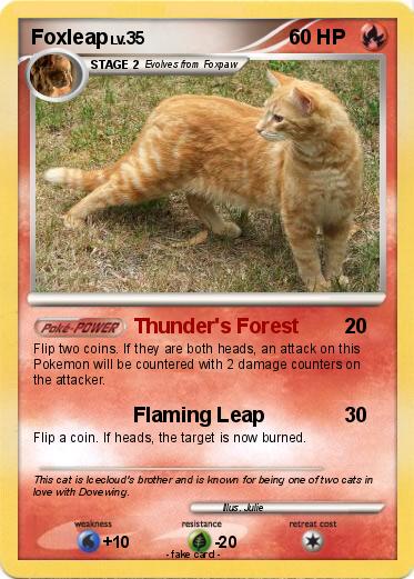 Pokemon Foxleap