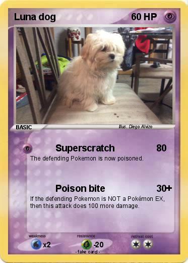 Pokemon Luna dog
