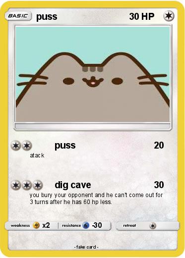 Pokemon puss