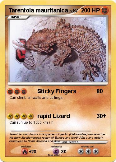 Pokemon Tarentola mauritanica