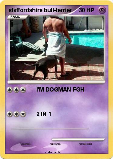 Pokemon staffordshire bull-terrier