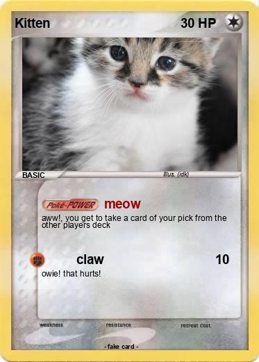 Pokemon Kitten