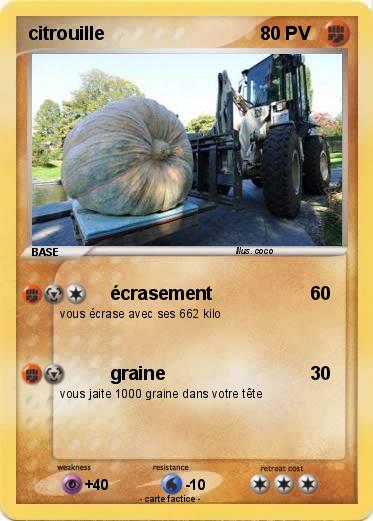 Pokemon citrouille