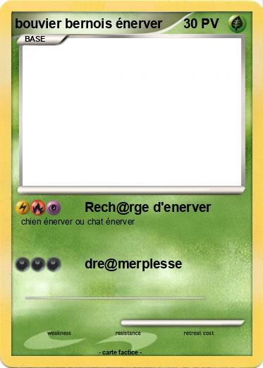 Pokemon bouvier bernois énerver