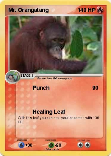 Pokemon Mr. Orangatang