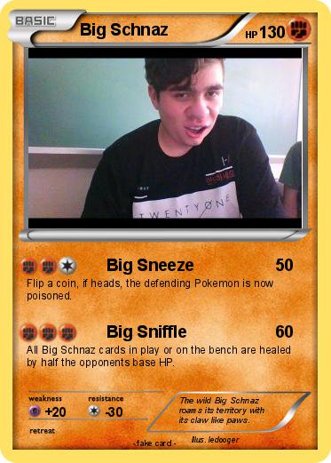 Pokemon Big Schnaz