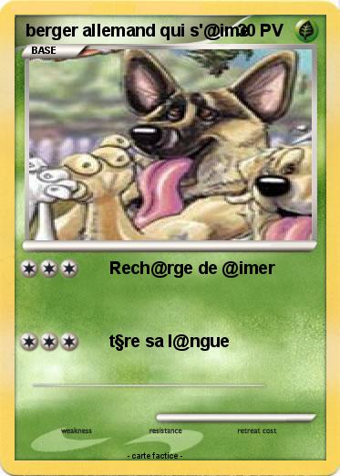 Pokemon berger allemand qui s'@ime