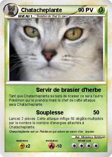 Pokemon Chatacheplante