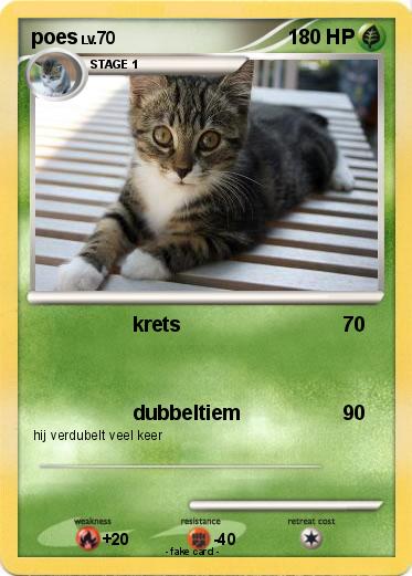 Pokemon poes