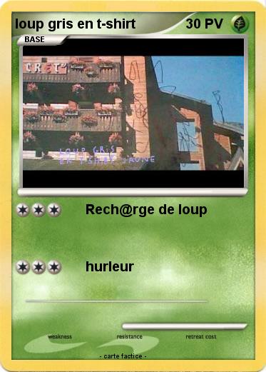Pokemon loup gris en t-shirt