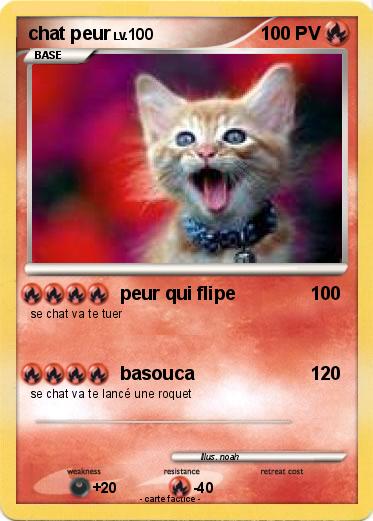 Pokemon chat peur