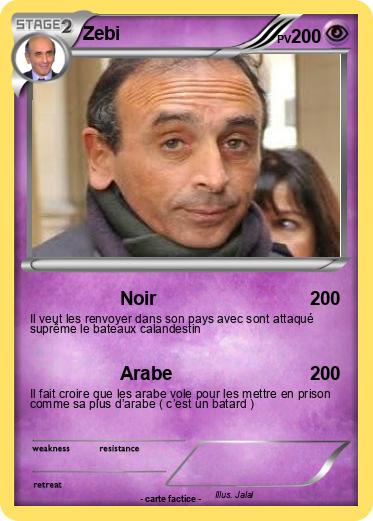 Pokemon Zebi