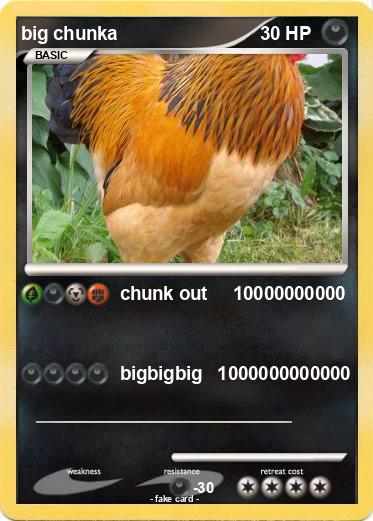 Pokemon big chunka
