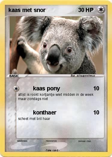 Pokemon kaas met snor