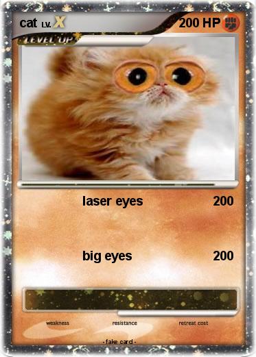 Pokemon cat