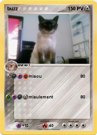 Pokemon buzz