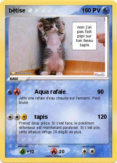 Pokemon bétise
