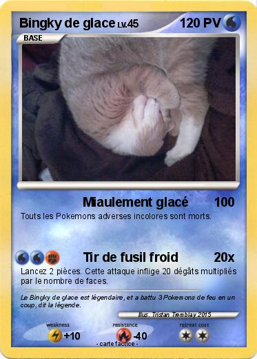 Pokemon Bingky de glace