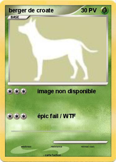 Pokemon berger de croate