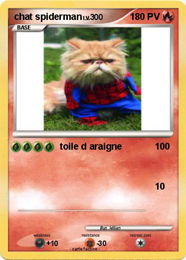 Pokemon chat spiderman