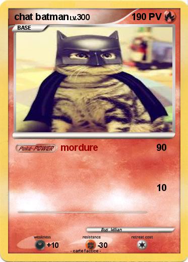 Pokemon chat batman