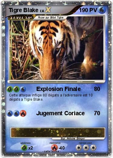 Pokemon Tigre Blake