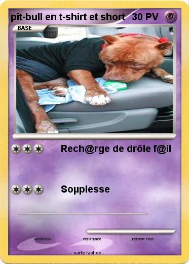 Pokemon pit-bull en t-shirt et short