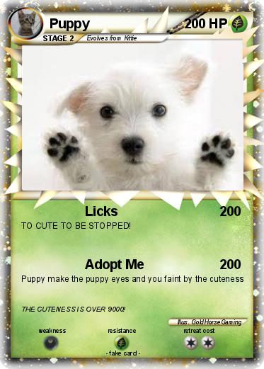 Pokemon Puppy