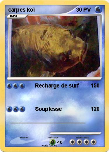 Pokemon carpes koï
